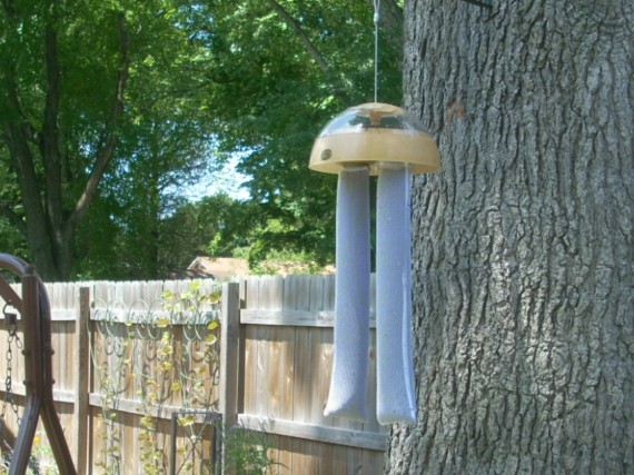 New bird feeder 001